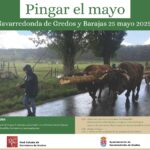Pingar El Mayo, el 25 de mayo de 2025